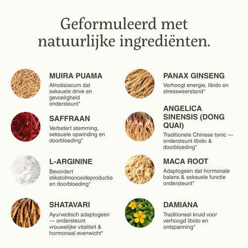 2_621eed21-9f17-44e6-ae91-9bdc8e2e2219