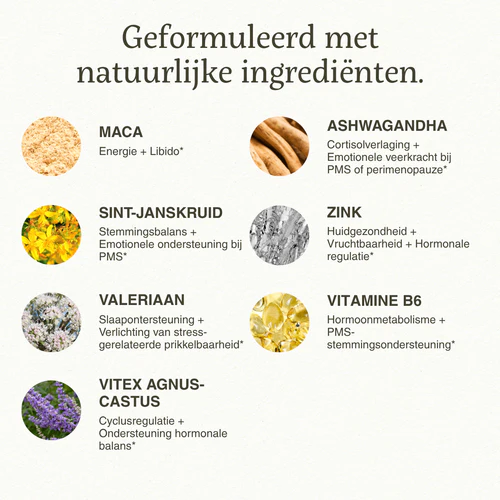 2_676f1866-0be7-43a8-82b8-5f62bcdfa977