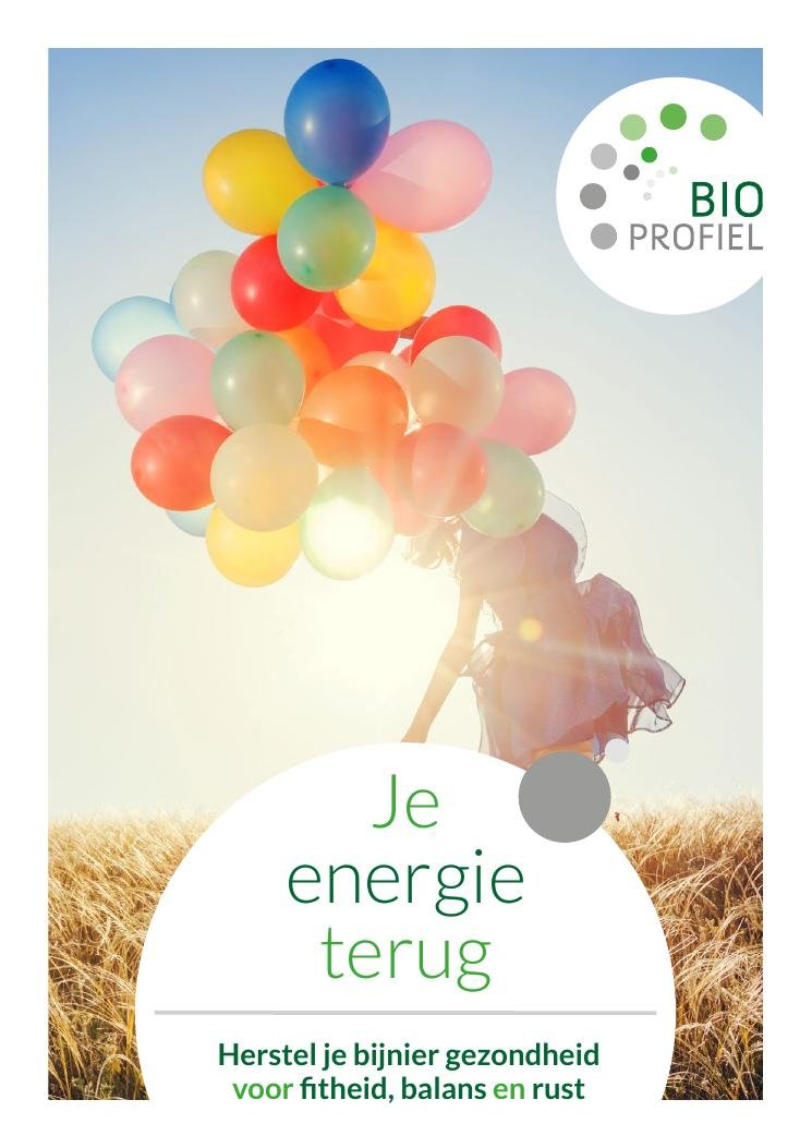 E-book: Je energie terug