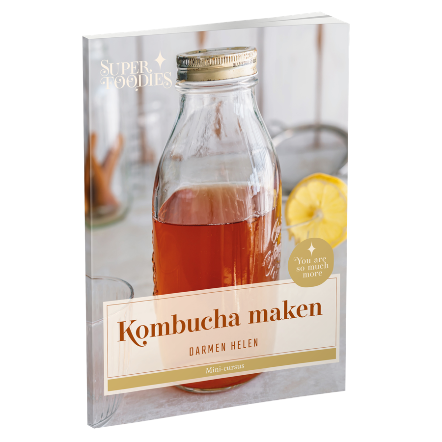 E-book: Zelf kombucha maken