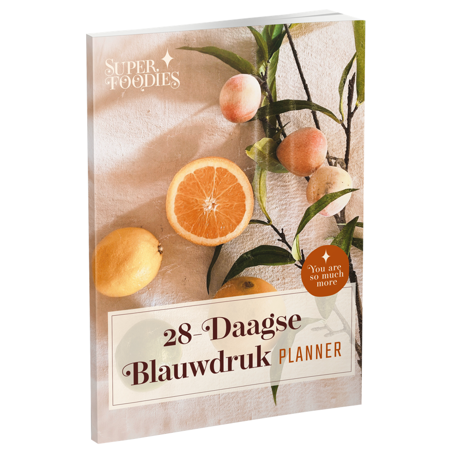 Het stappenplan met de 28-daagse blauwdruk, planner en checklist