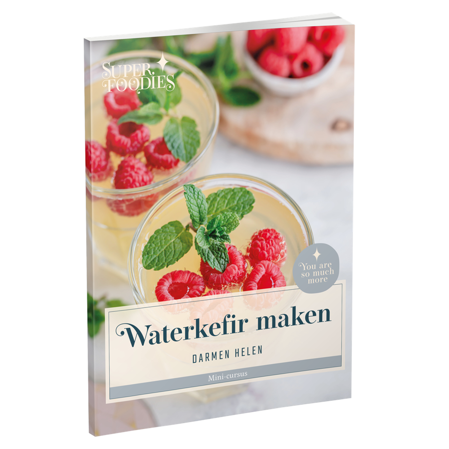 E-book: Zelf waterkefir maken