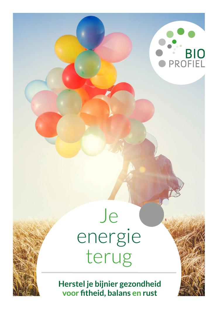 E-book: Je energie terug