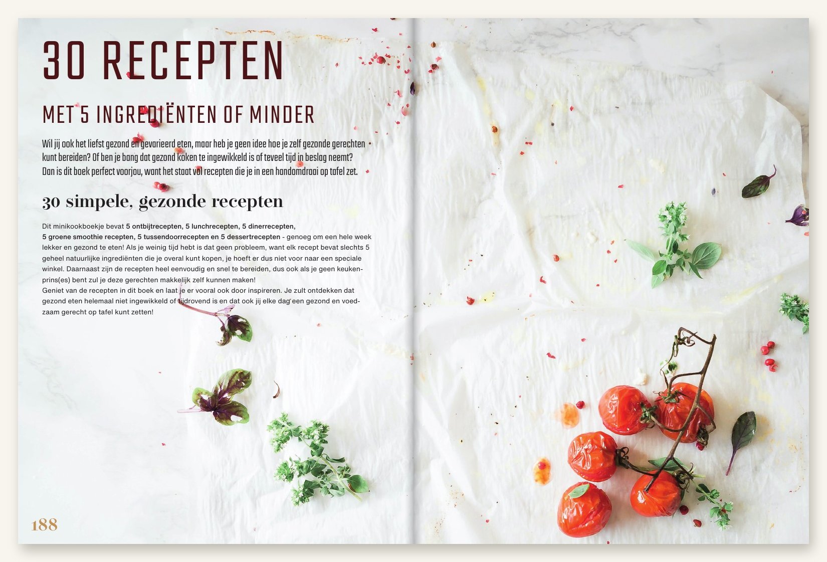 30 recepten met 5 ingrediënten
